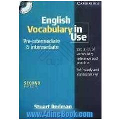English vocabulary in use: Pre-intermediate &amp; intermediate