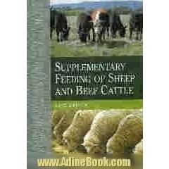  Supplementary feeding of sheep and beef cattle