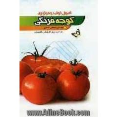 اصول تولید و فرآوری گوجه فرنگی