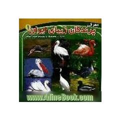 معرفی پرندگان زیبای ایران