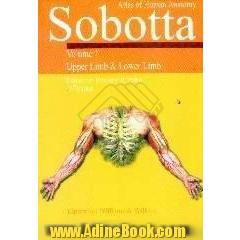 Atlas of human anatomy،  sobotta،  upper limb & lower limb