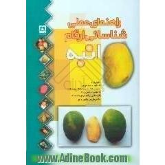 راهنمای عملی شناسائی ارقام انبه = Practical guide for mango، mangifera indica L.،  cultivars identification