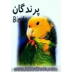 پرندگان = Birds