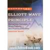 استادی در اصول امواج الیوت: مفاهیم ابتدایی، الگوهای موجی و تمرین