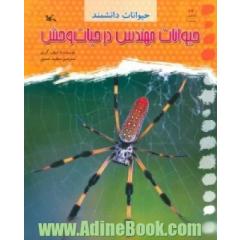 حیوانات مهندس در حیات وحش