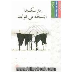 مترسکها ایستاده می خوابند (مجموعه داستان کوتاه)