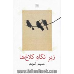زیر نگاه کلاغ ها