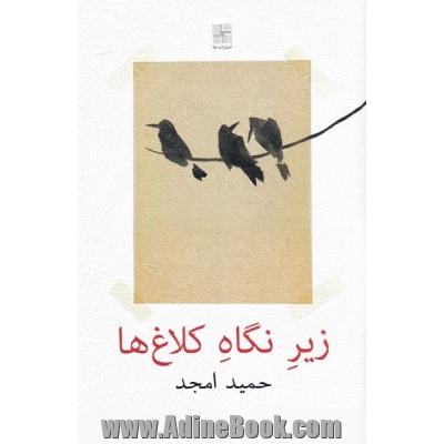 زیر نگاه کلاغ ها