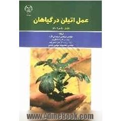 عمل اتیلن در گیاهان