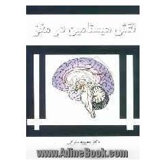 نقش هیستامین در مغز