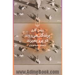 پرندگان می روند در پرو بمیرند