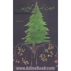 نارونی که کاج بود