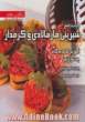 کتاب جامع شیرینی مارمالادی و کرمدار: بیش از 50 نوع شیرینی مارمالادی و کرمدار