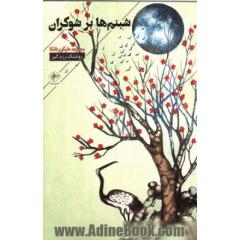 شبنم ها بر شوکران