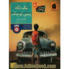 یک تکه زمین کوچک