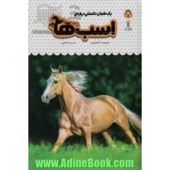 یک فنجان دانستنی درباره ی اسب ها