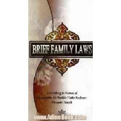 Brief family laws