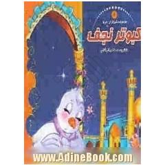 کبوتر نجف