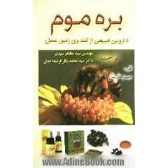 بره موم: دارویی طبیعی از کندوی زنبور عسل