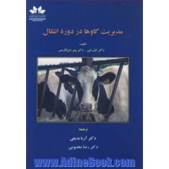 مدیریت گاوها در دوره انتقال