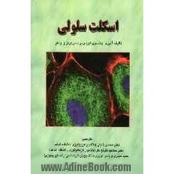 اسکلت سلولی