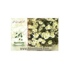گیاهان دارویی - صنعتی (بابونه) = Matricaria chamomill