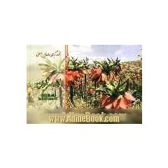 لاله سرنگون = Fritillaria imperialis L