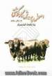 اصول پرورش گاو گوشتی: به زبان ساده همراه با نکات کاربردی
