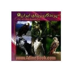 معرفی پرندگان زیبای ایران