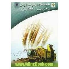 موش روستایی و موش شهری