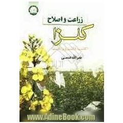 زراعت و اصلاح کلزا (کاشت، داشت و برداشت)