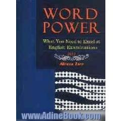 Word power: what you need to excel at English examinations