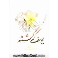 یوسف گم گشته: یادنامه شهید امیر سرلشکر محمدباقر روحی