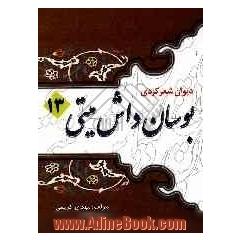 بوسان داش میتی 13