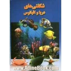 شگفتی های دریا و اقیانوس