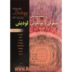 زیست شناسی سلولی و مولکولی لودیش 2013 (دوره سه جلدی)