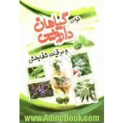 مجموعه کامل خواص گیاهان دارویی و عرقیات شفابخش