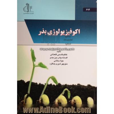 چادر دوزی امیر