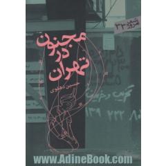 مجنون در تهران: مجموعه شعر
