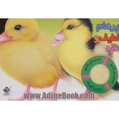 پرهام لطیف و تازه