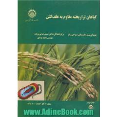 گیاهان تراریخته مقاوم به علف کش