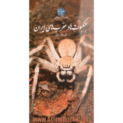 راهنمای میدانی عنکبوت ها و عقرب های ایران