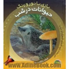 حیوانات در شب