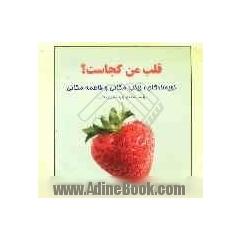 قلب من کجاست 