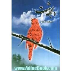 دلبهه شت: دلبهه شتا سورگول و بولبول