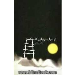 در خواب نردبانی که شکست