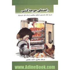 راهنمای جوجه کشی