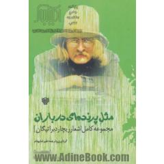 مثل پرنده ای در باران:مجموعه کامل اشعار ریچارد براتیگان (شعر جهان63)