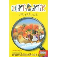 دزدی در آبشار نیاگارا