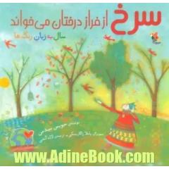 سرخ از فراز درختان می خواند